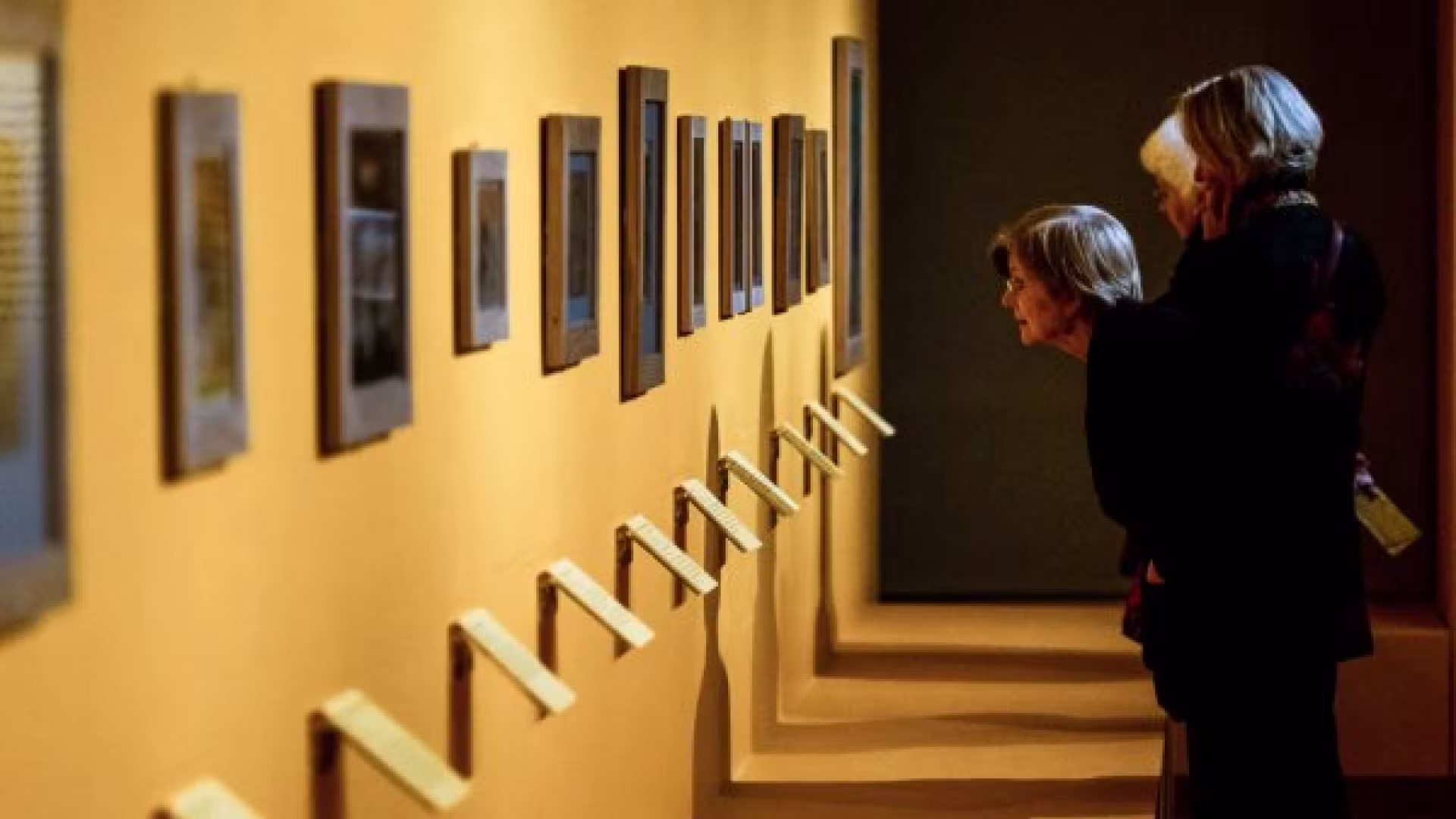 Special Exhibition and Guided Tours