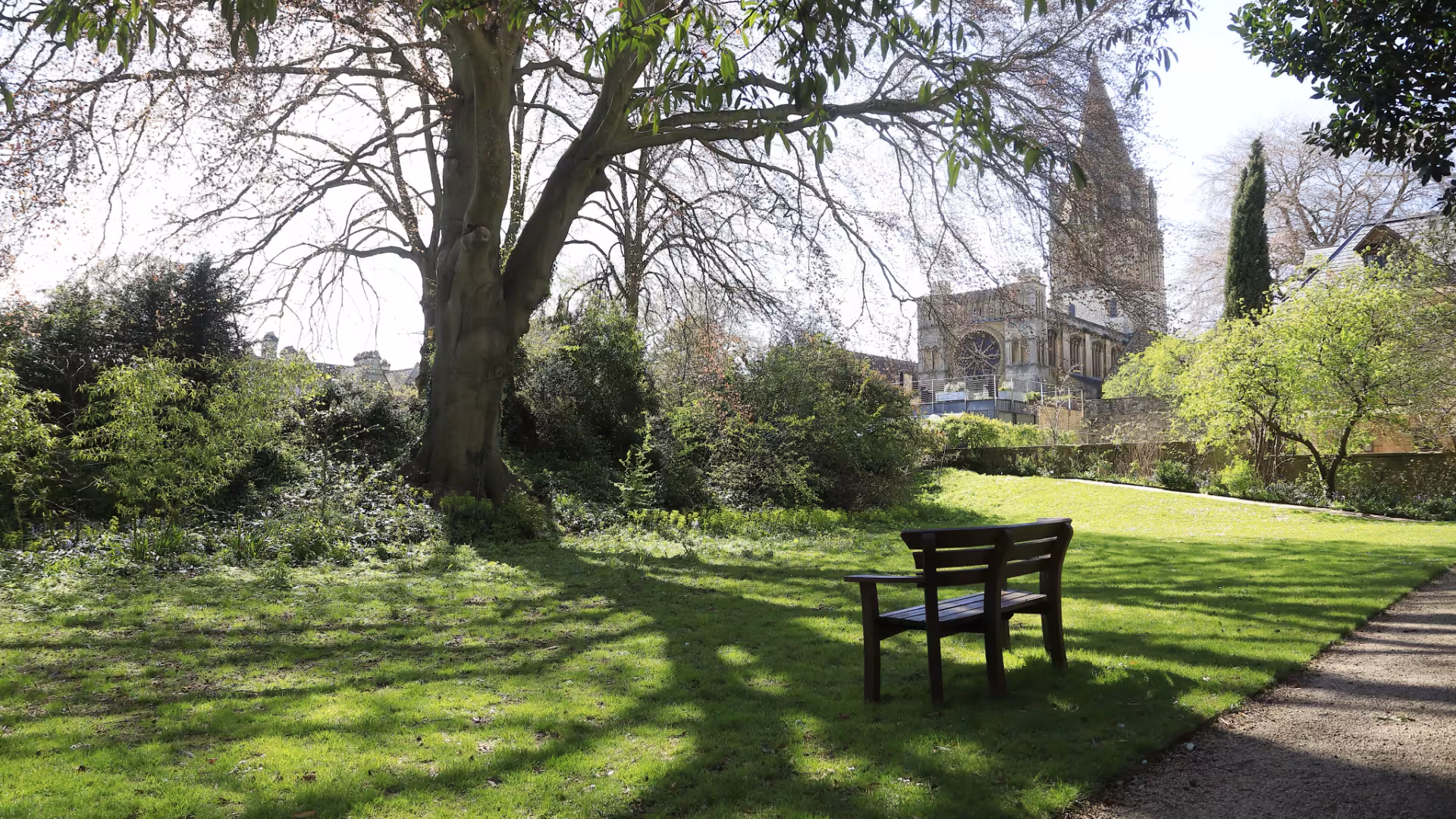 Corpus Garden