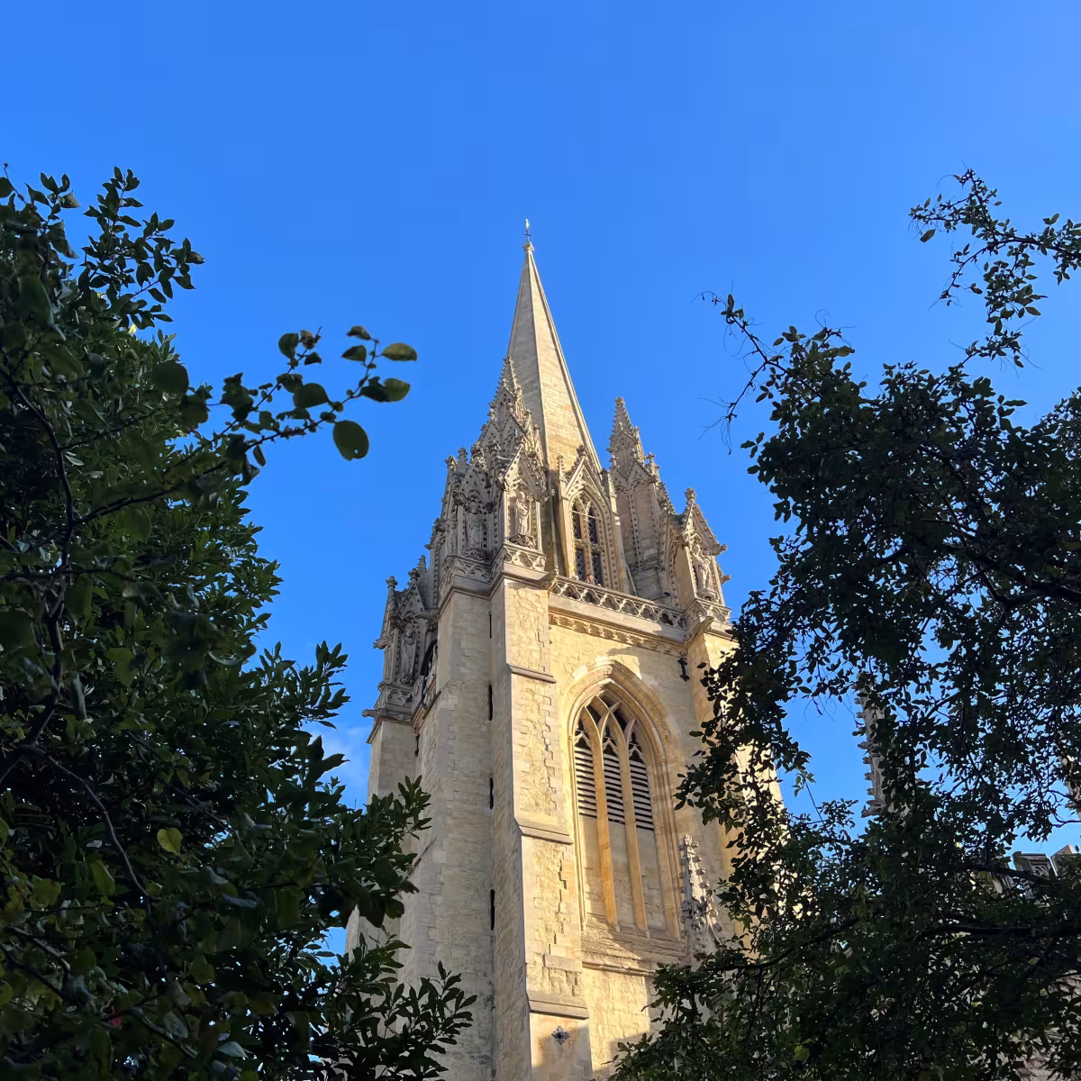 Church 